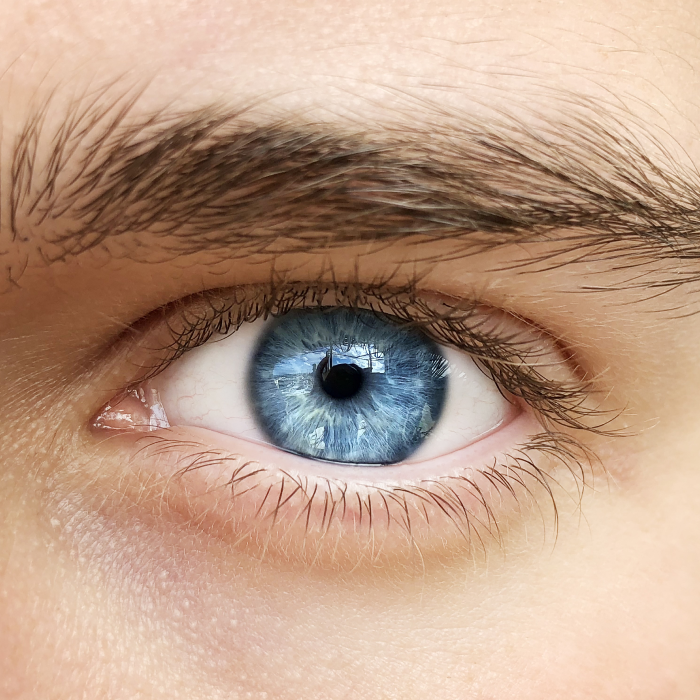 Filozofia Ambulancie Dlhovekosti